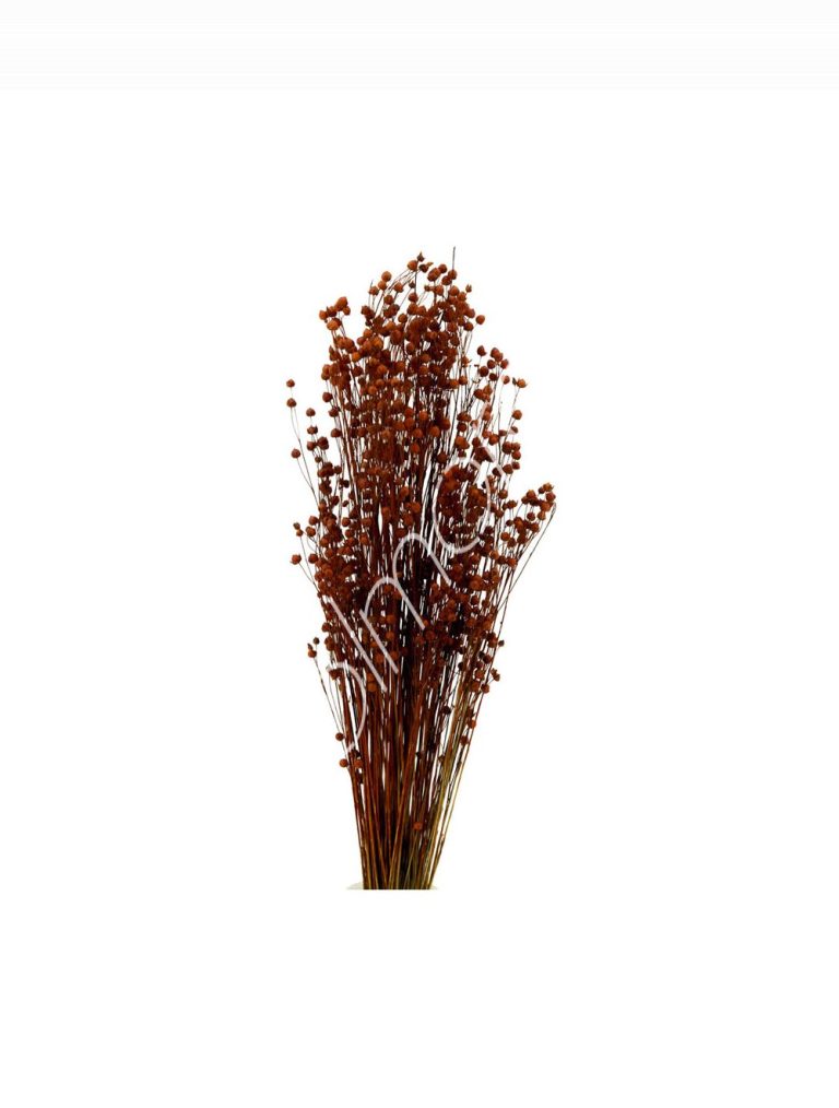 Bundle of dry leaves dark orange 75-85cm