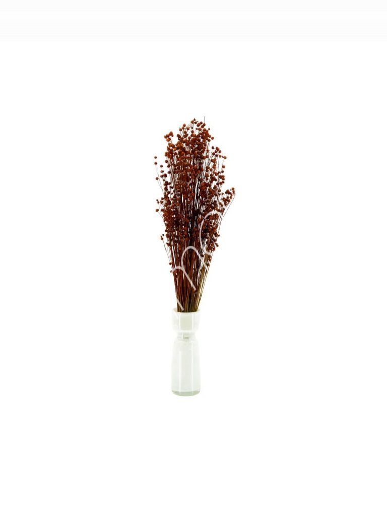 Bundle of dry leaves dark orange 75-85cm
