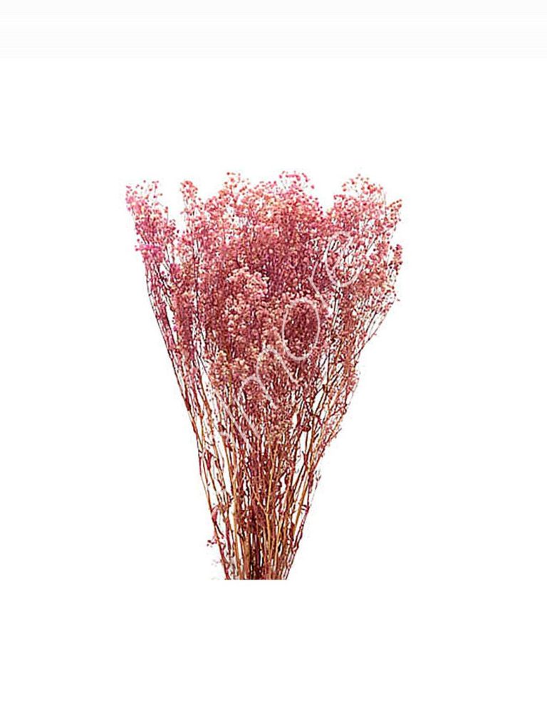 Bundle of dry flowers pink 75-85cm