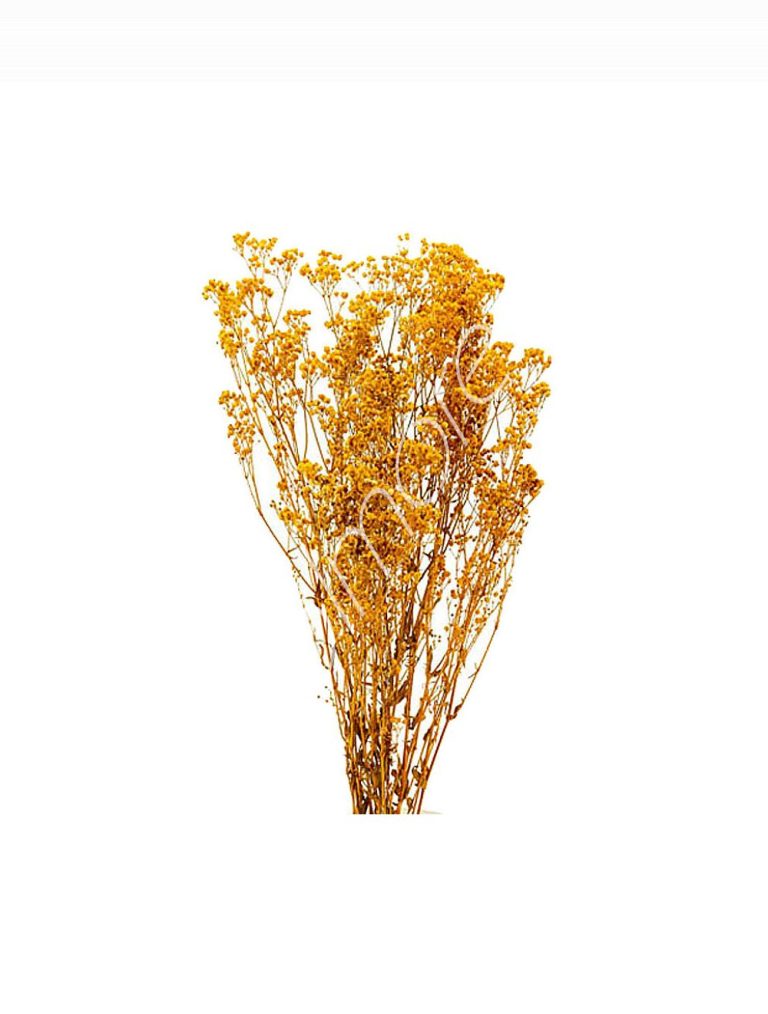Bundle of dry flowers orange 75-85cm