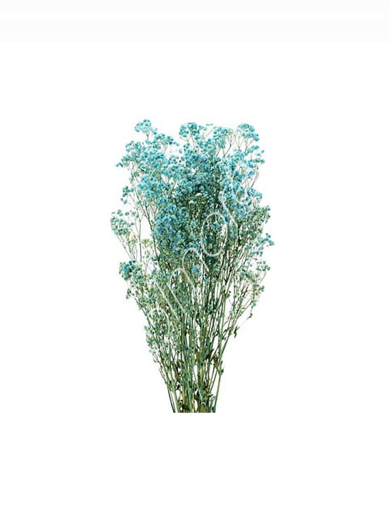 Bundle of dry flowers blue 75-85cm