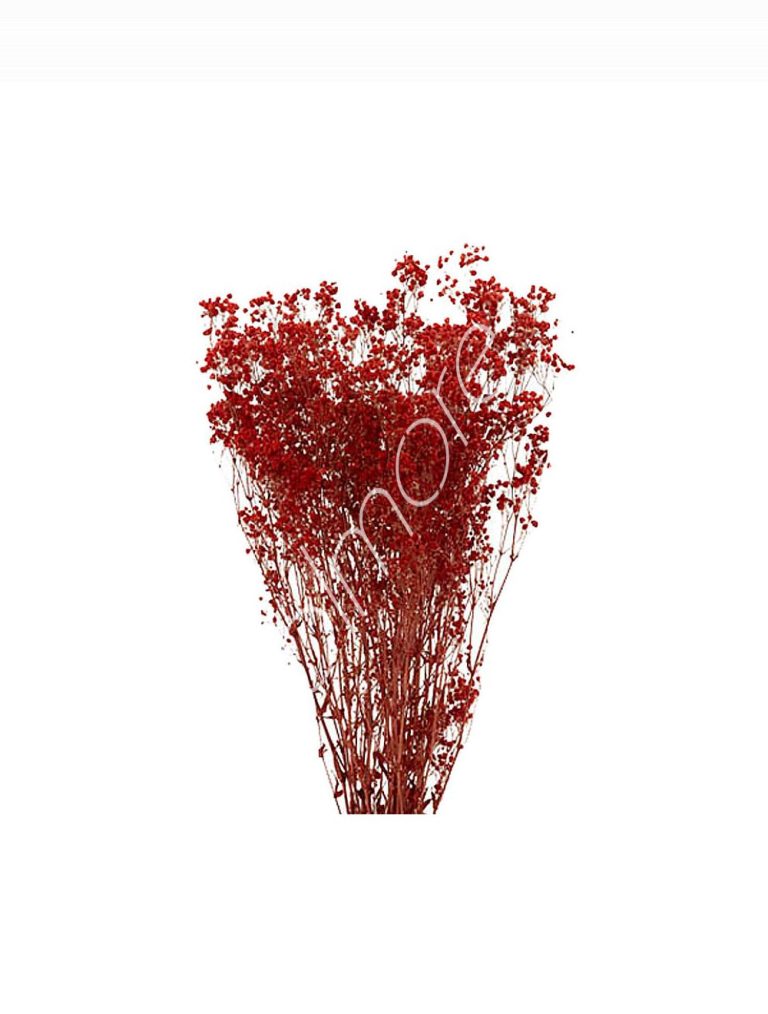 Bundle of dry flowers red 75-85cm
