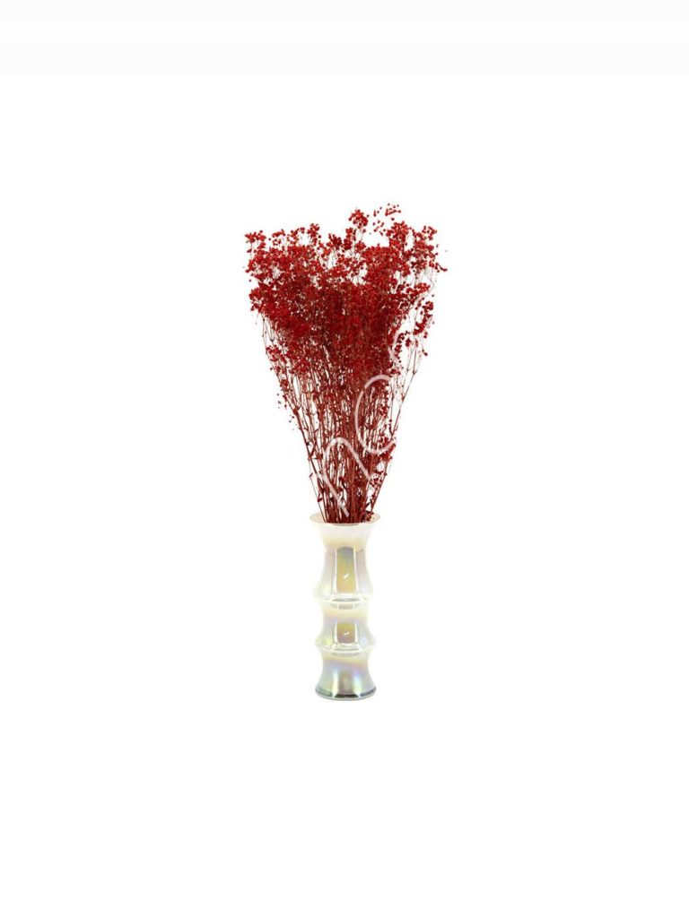 Bundle of dry flowers red 75-85cm