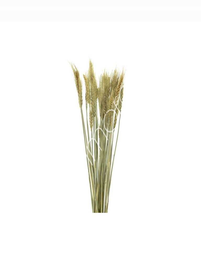 Bundle of dry leaves natural 75-85cm