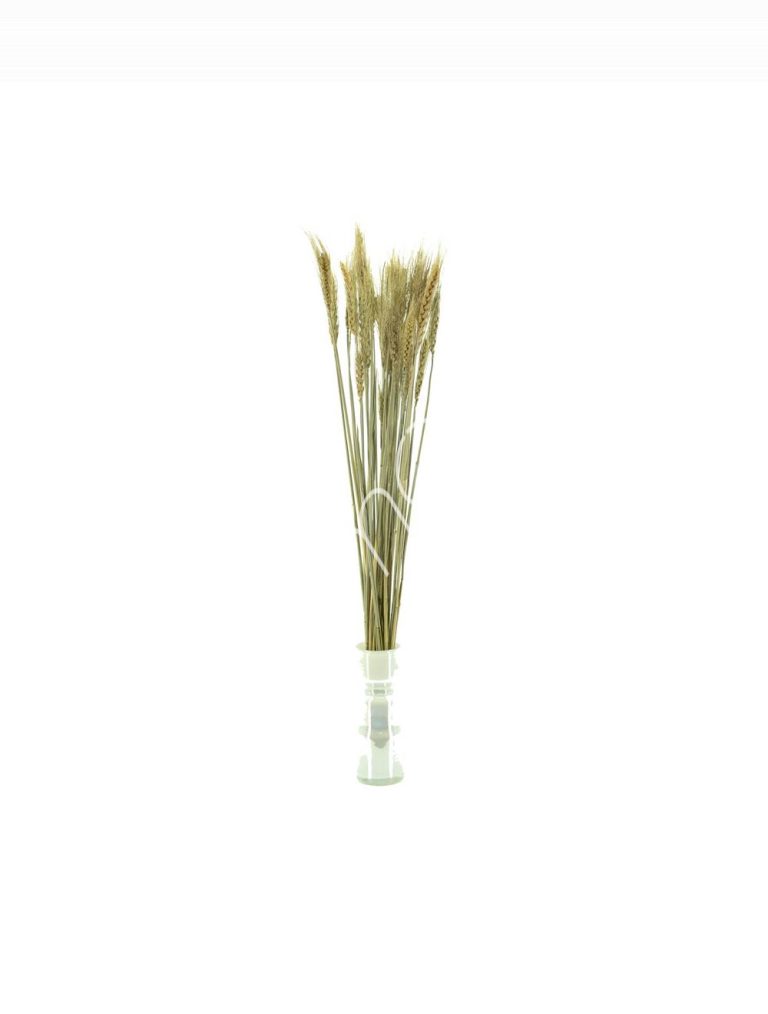 Bundle of dry leaves natural 75-85cm