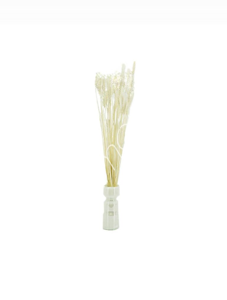 Bundle of dry leaves white 75-85cm
