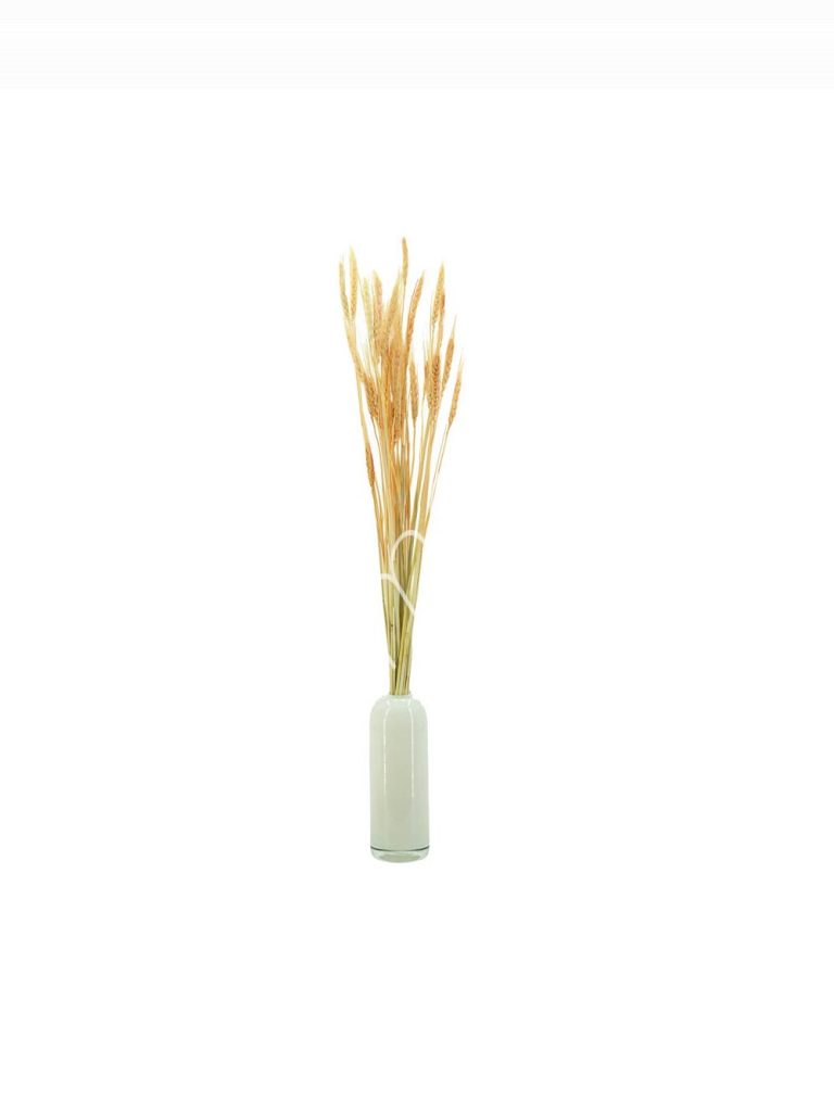 Bundle of dry leaves light orange 75-85cm
