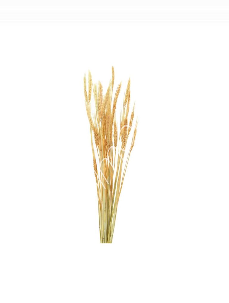 Bundle of dry leaves light orange 75-85cm