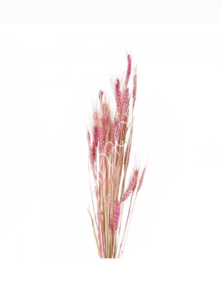 Bundle of dry leaves pink 75-85cm