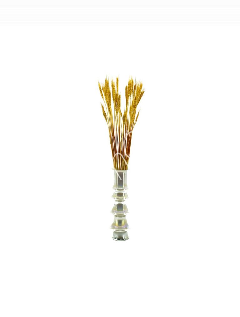 Bundle of dry leaves gold 75-85cm