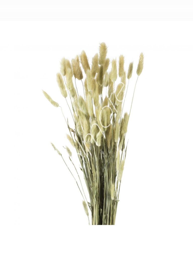 Bundle of dry leaves natural 75-85cm