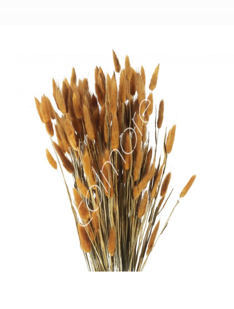 Bundle of dry leaves orange 75-85cm