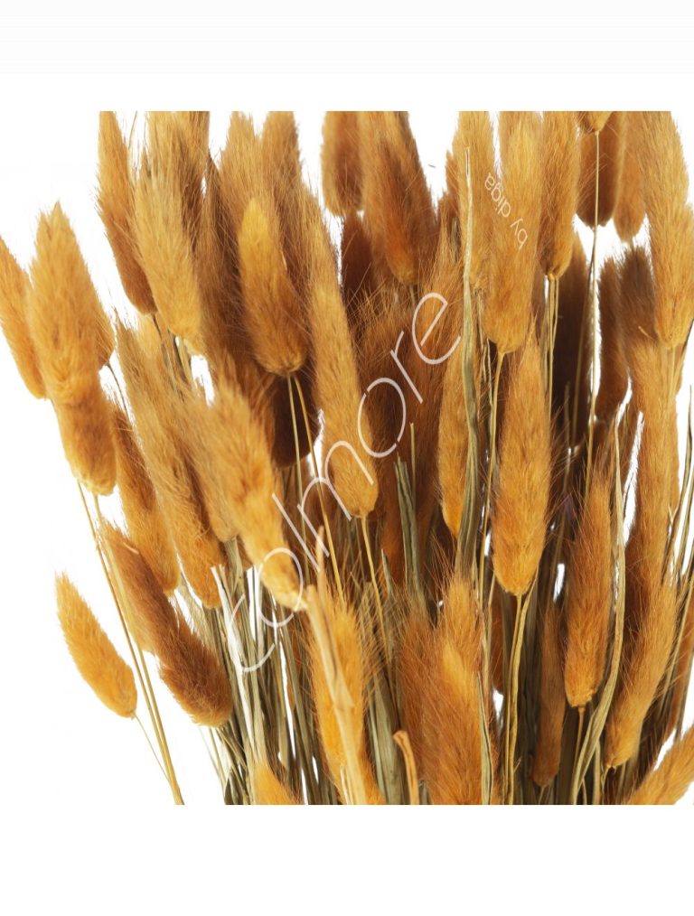 Bundle of dry leaves orange 75-85cm