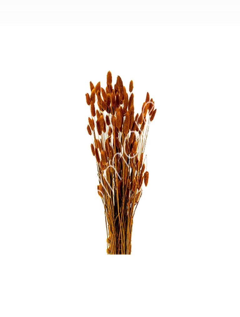 Bundle of dry leaves dark orange 75-85cm