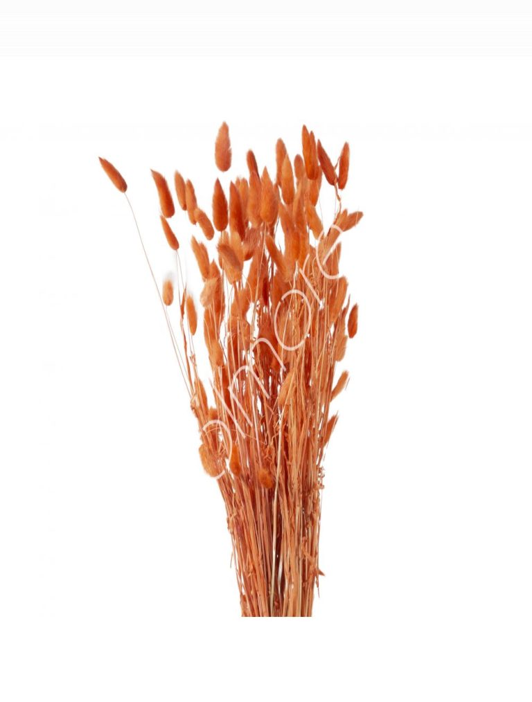 Bundle of dry leaves orange red 75-85cm