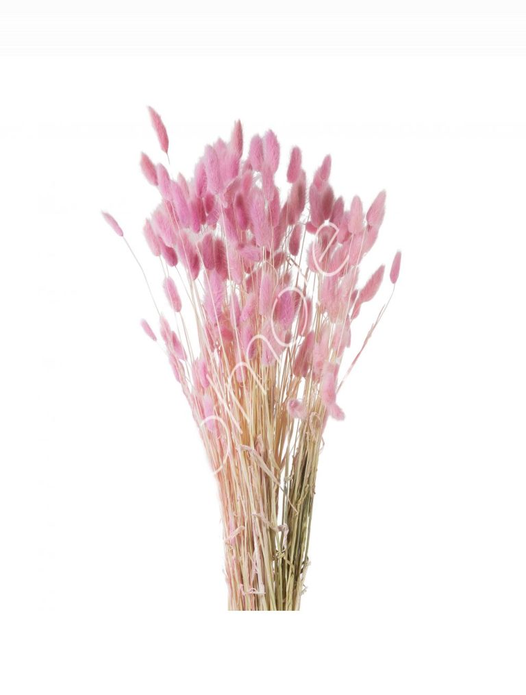 Bundle of dry leaves pink 75-85cm