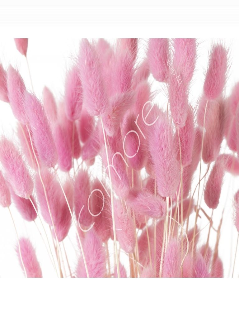 Bundle of dry leaves pink 75-85cm