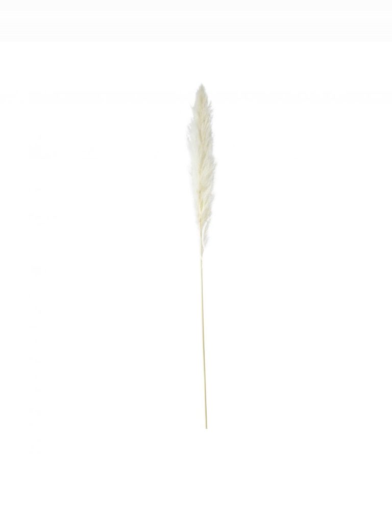 Power leaves white grass 95-105cm