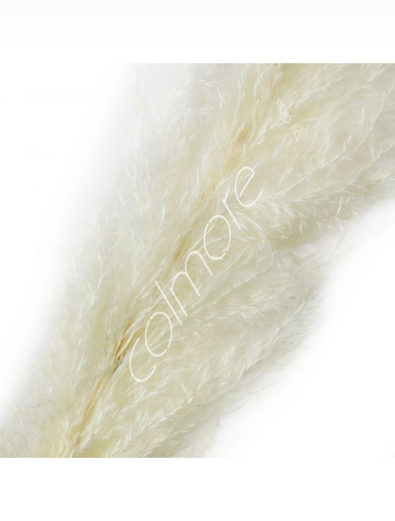 Power leaves white grass 95-105cm