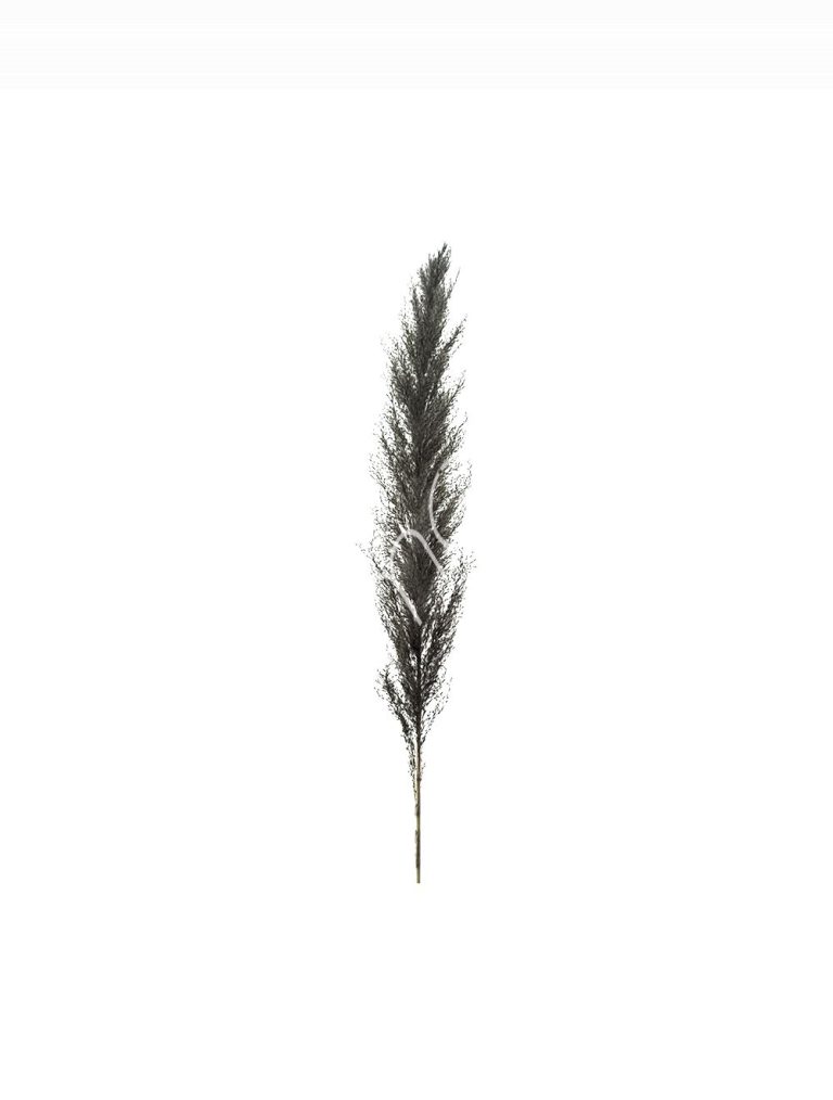 Power leaves black grass 95-105cm