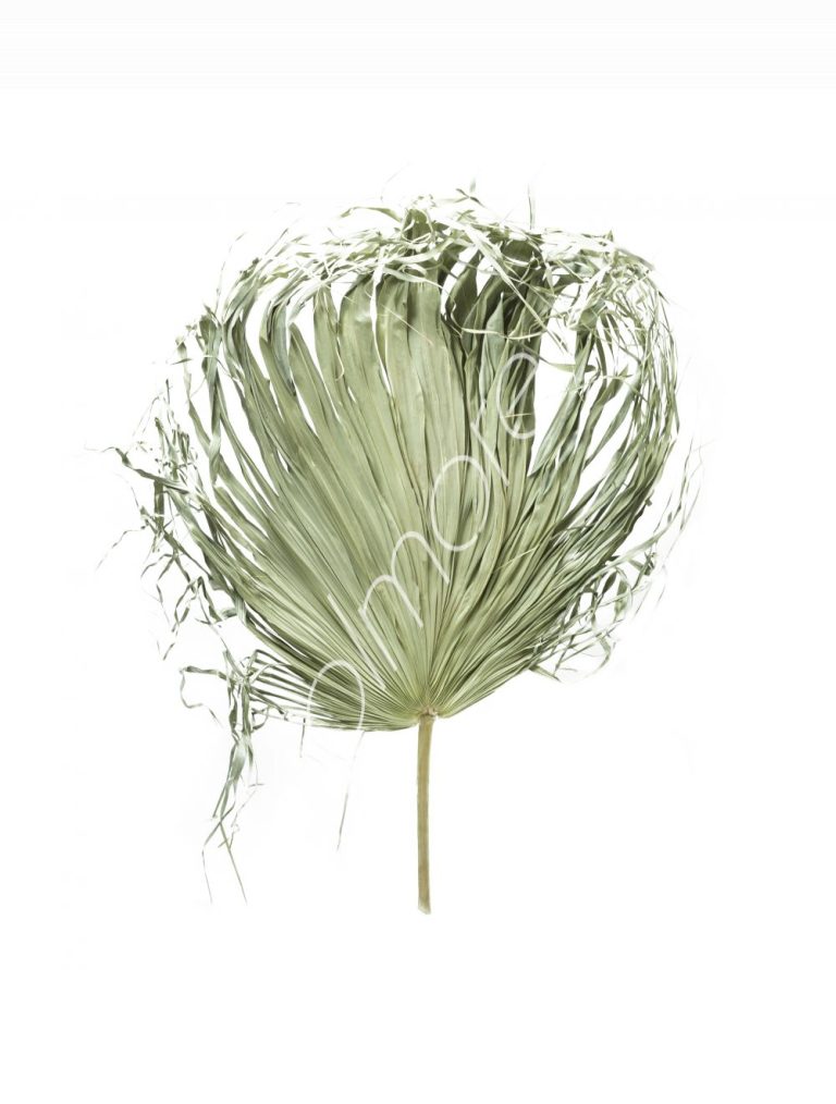 Power leaves natural grass 150cm