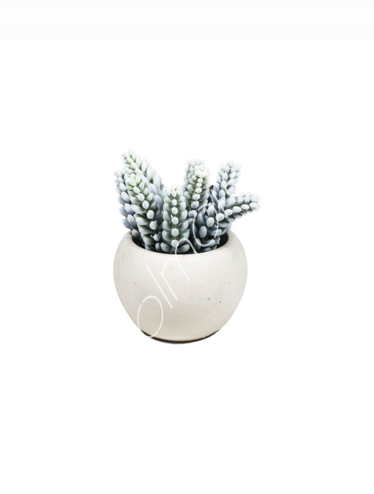 Flocking succulent w/cement pot 17x17x20