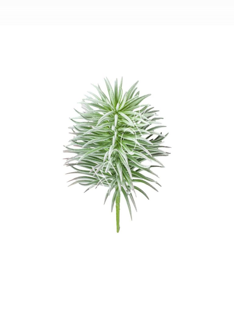 Flocking succulent stem 11x11x24
