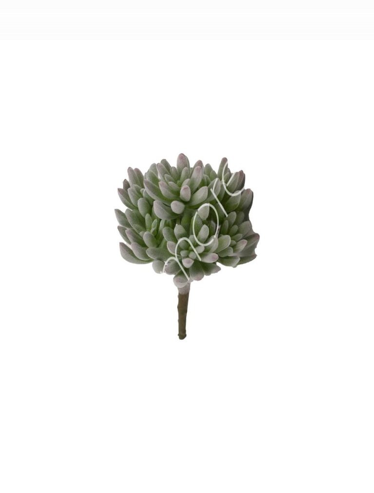 Succulent stem 13x13x15