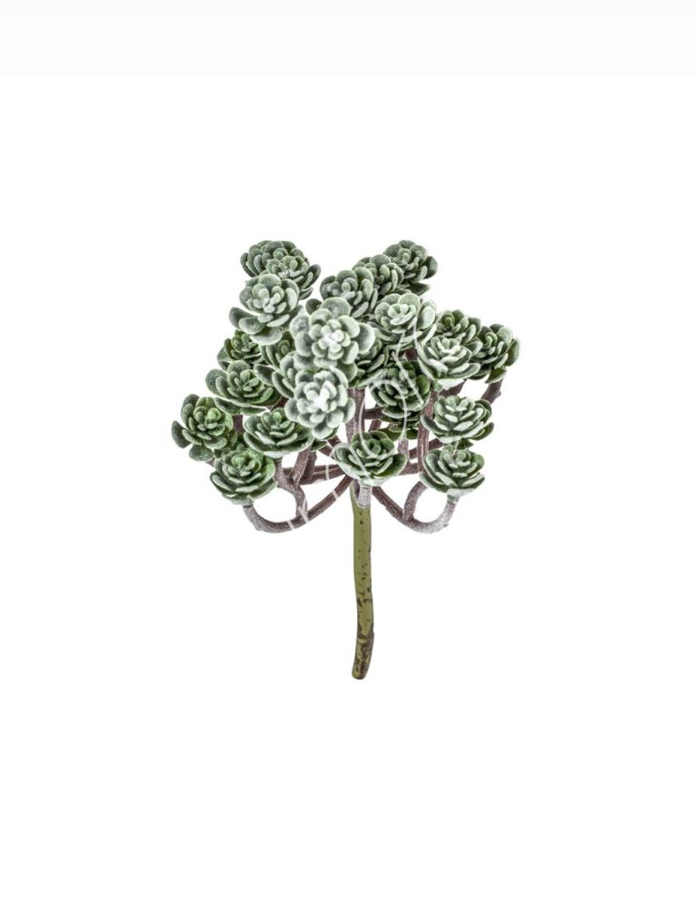 Flocking succulent lotus stem 13x13x24