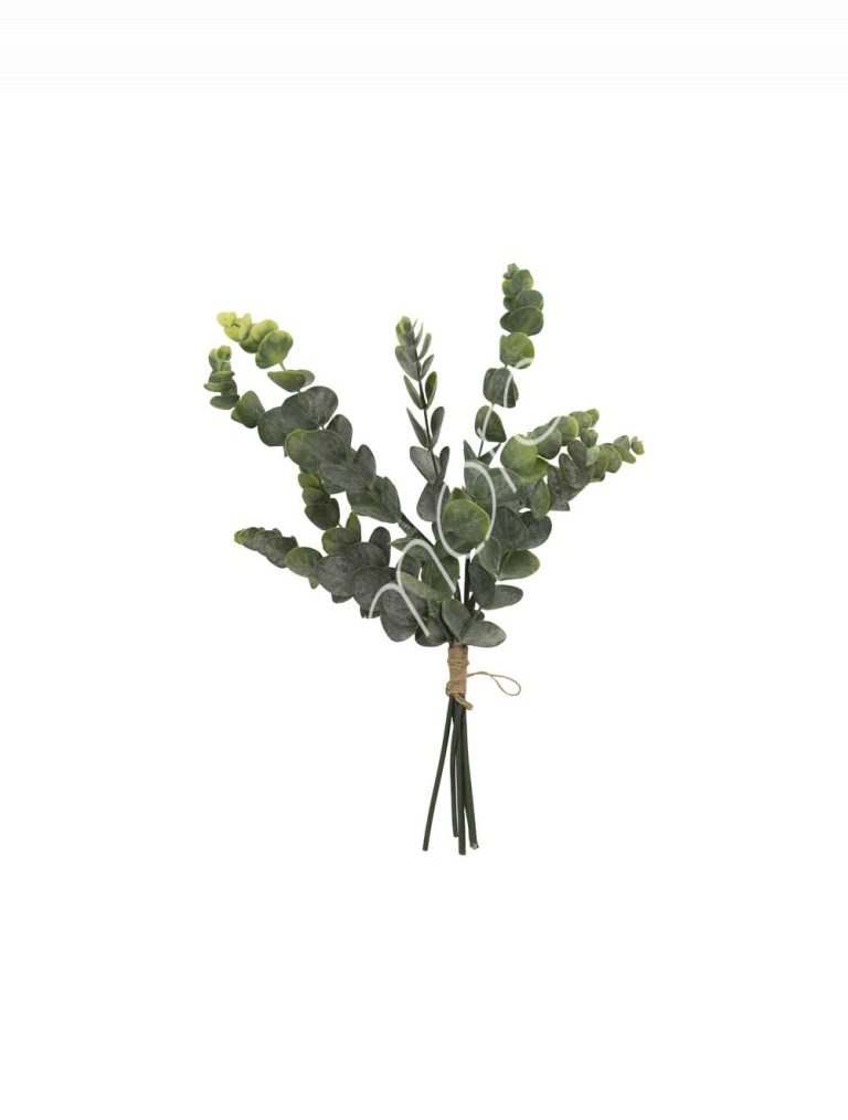 Eucalyptus branch 19x19x61