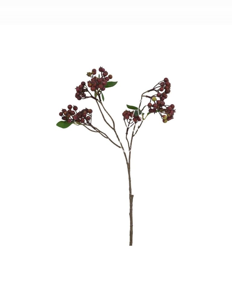 Berry stem 22x22x74