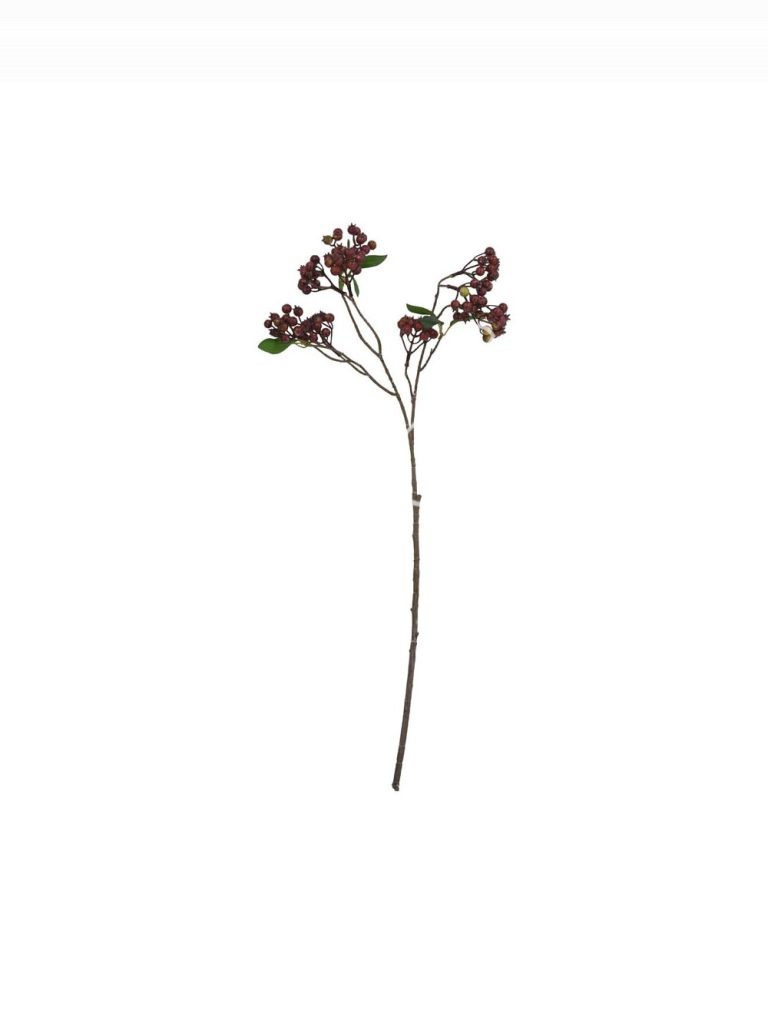 Berry stem 22x22x74