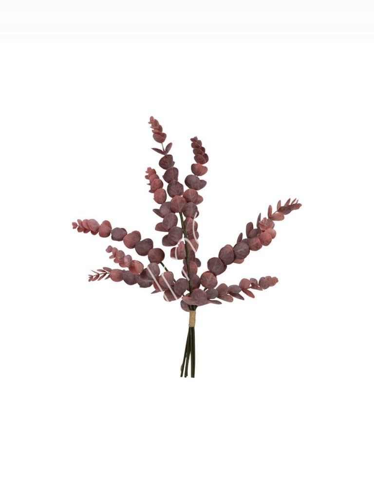 Eucalyptus branch 18x18x61