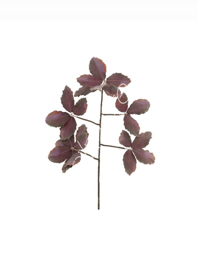 Maple leaves 25x25x99