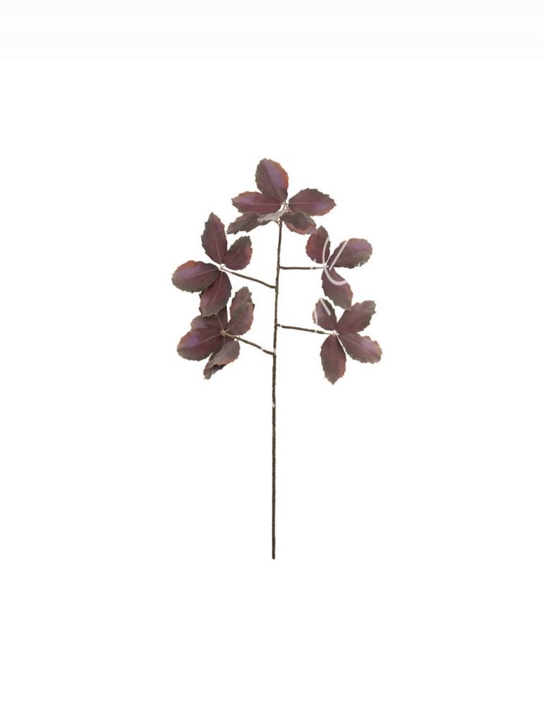 Érable feuilles 25x25x99