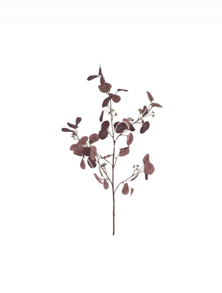 Eucalyptus branch 20x20x113