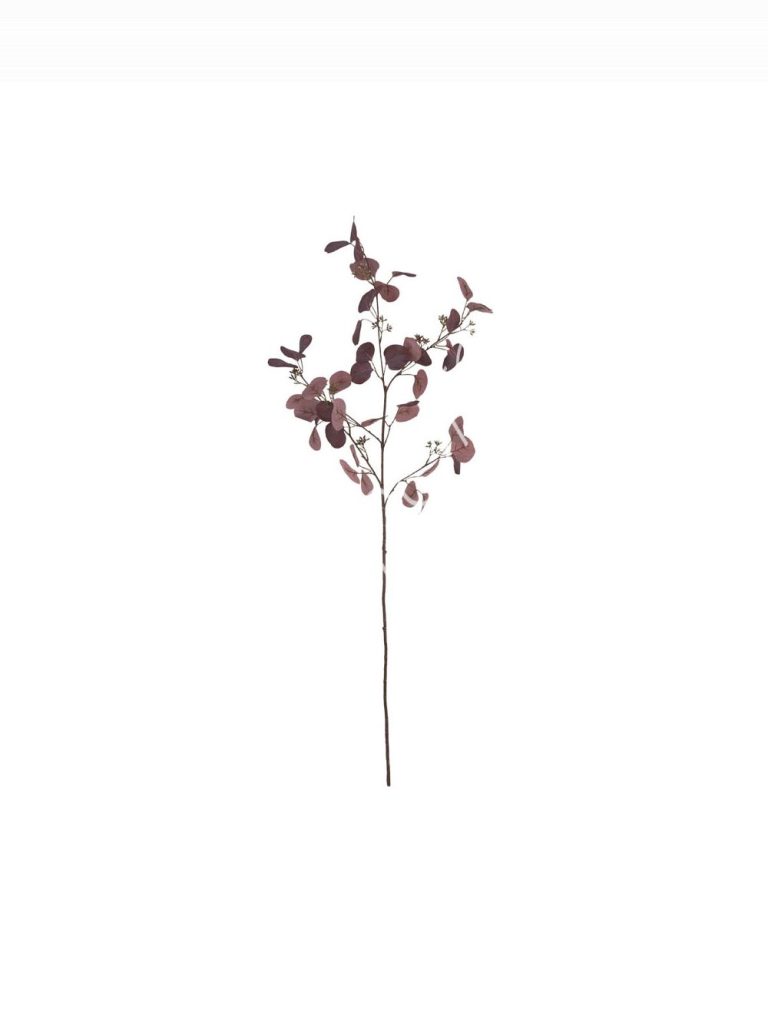 Eucalyptus branch 20x20x113