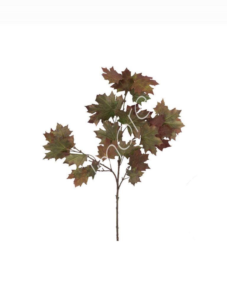 Maple stem 46x46x110