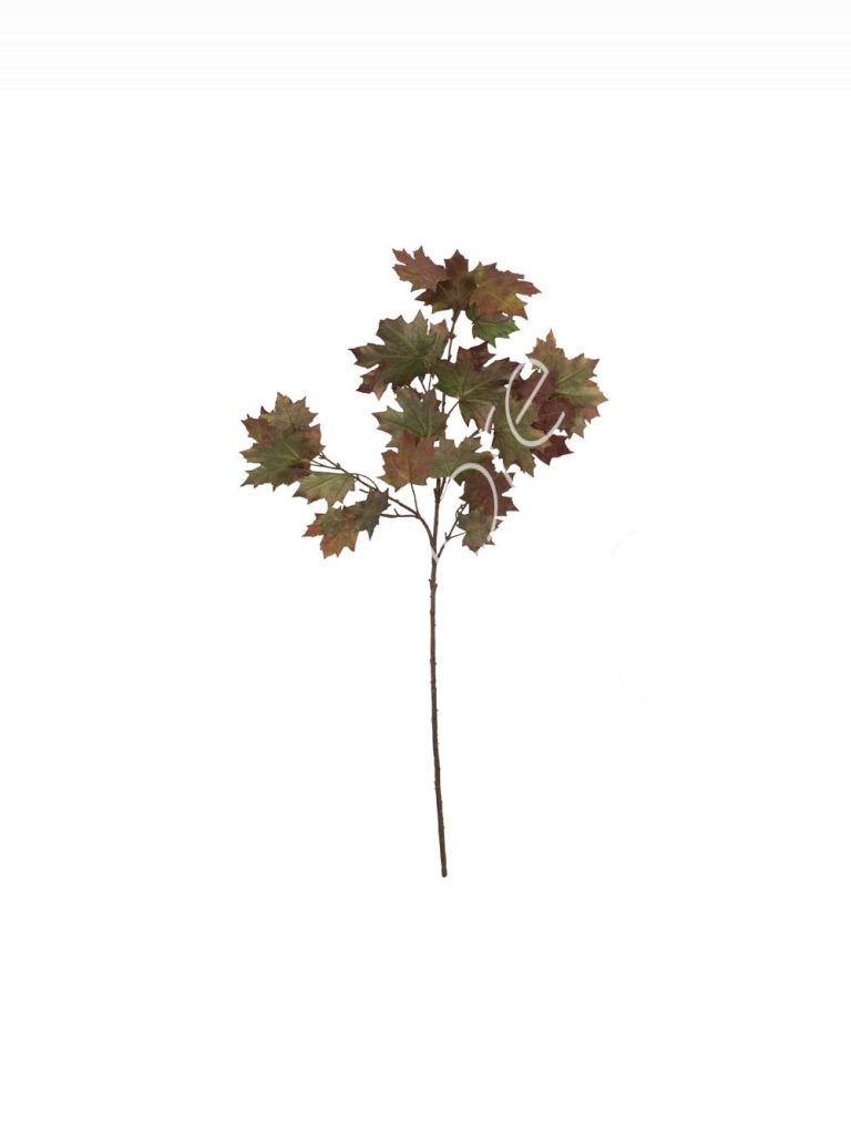Maple stem 46x46x110