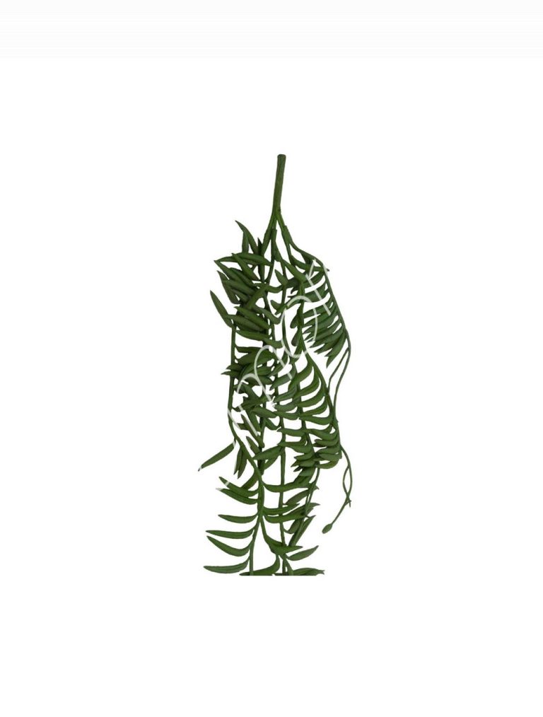 Succulent bush 8x8x76