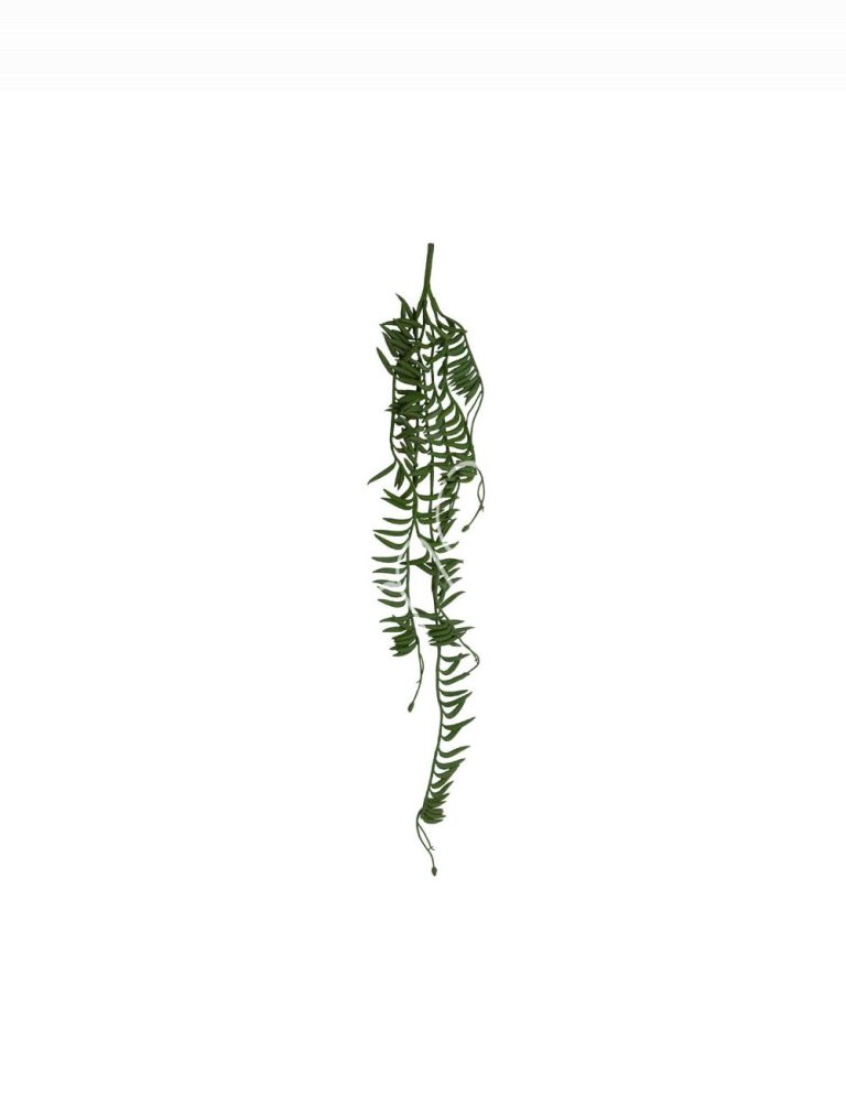 Succulent bush 8x8x76