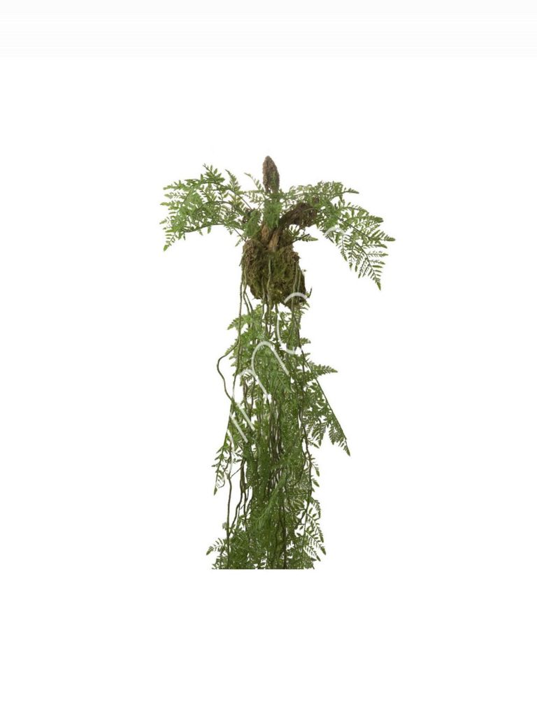 Fern hanging vine 53x53x144