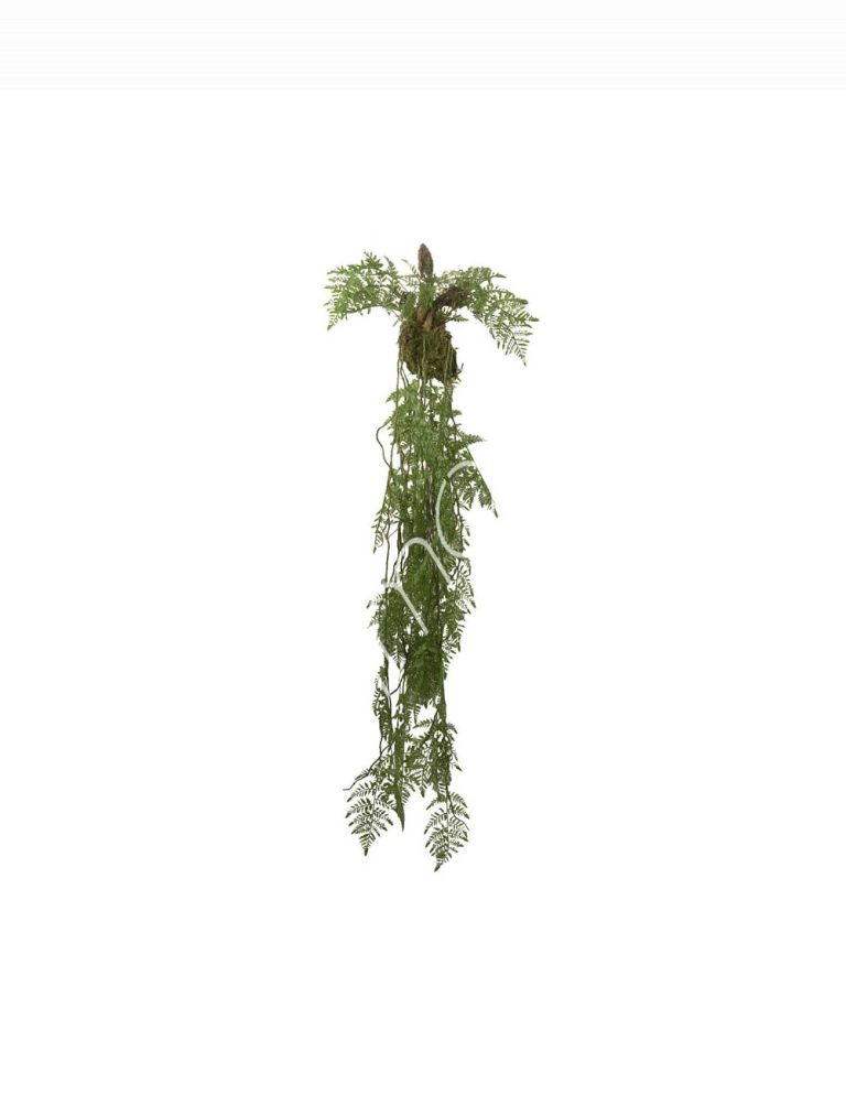 Fern hanging vine 53x53x144