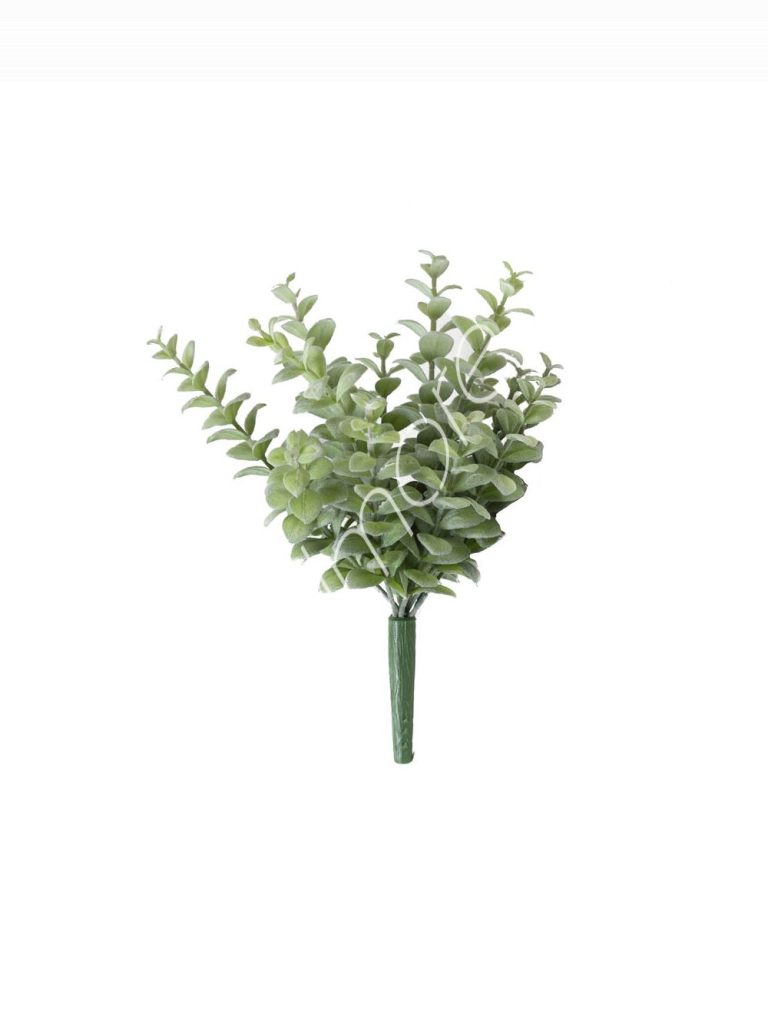 Privet branch 25x25x33