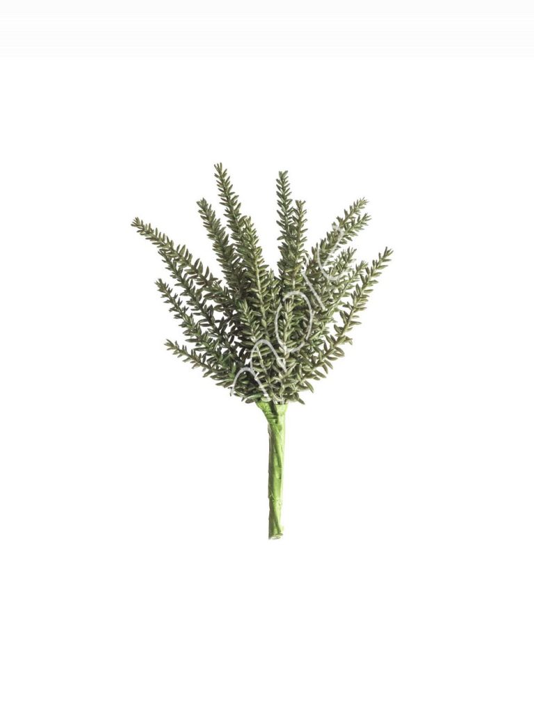 Fern bush 25x25x25