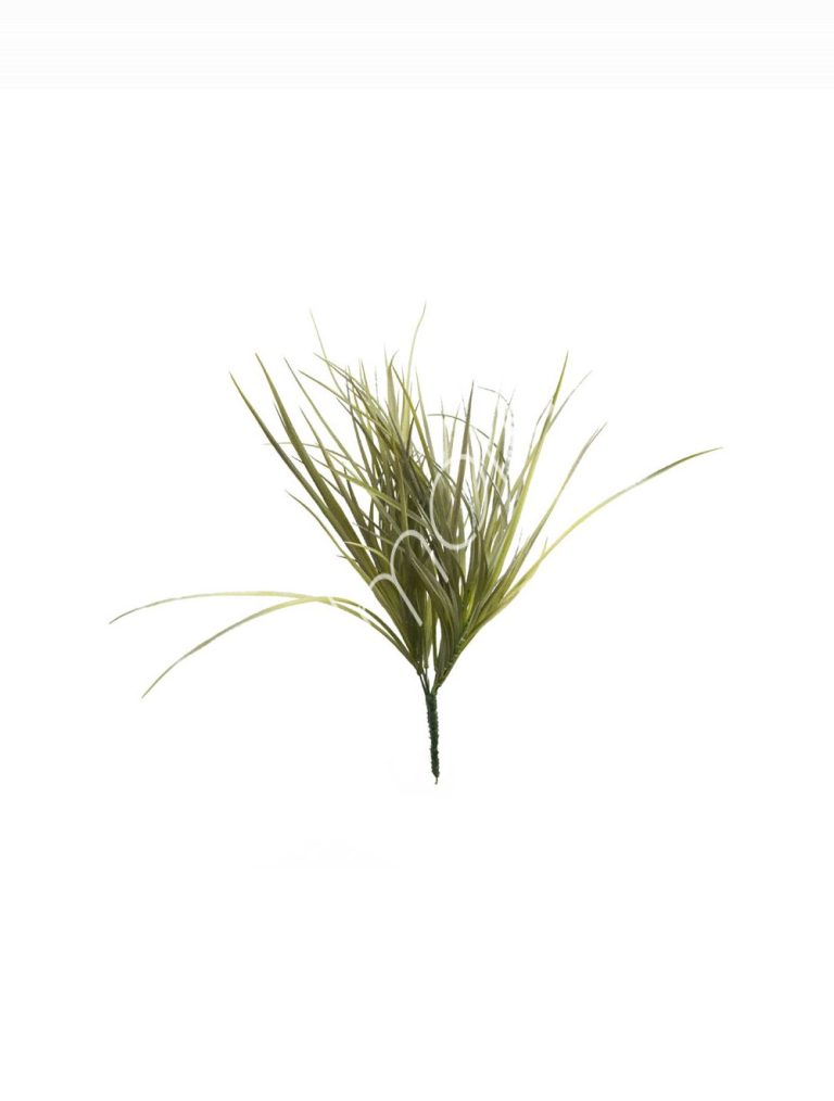 Grass 41x41x47