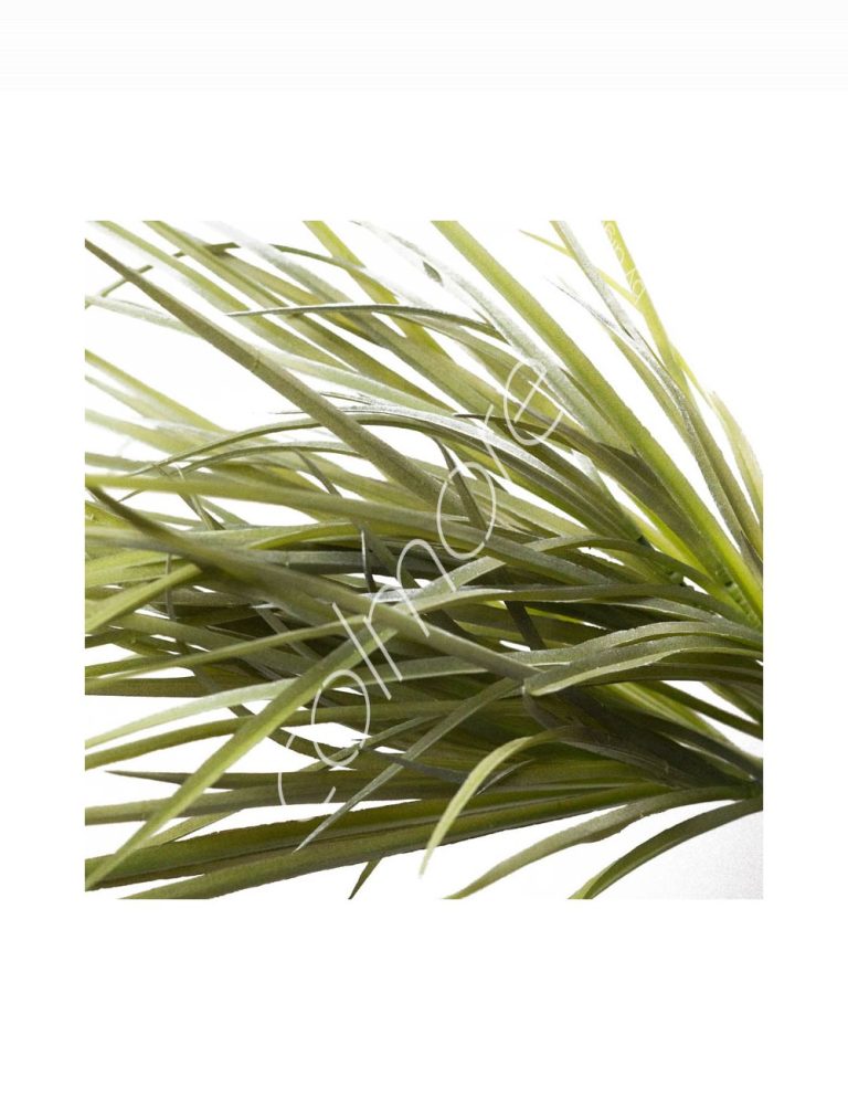 Grass 41x41x47