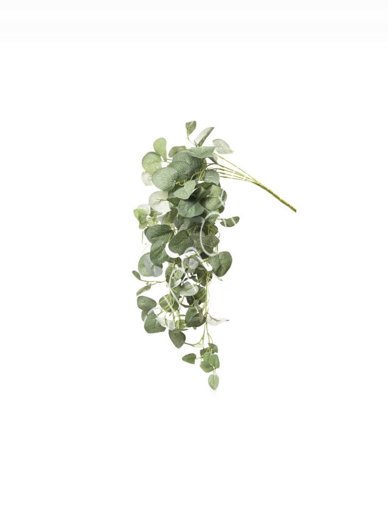 Ivy vine 33x33x75