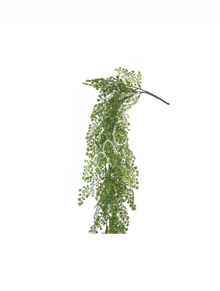 Fern capillaire hanging vine 20x20x102