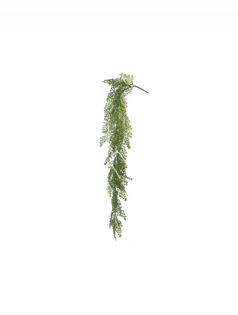 Fern capillaire hanging vine 20x20x102